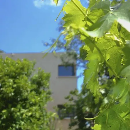 Le Clos Saint Elme * Collioure