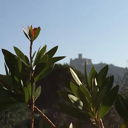 Affittacamere Le Clos Saint Elme Collioure
