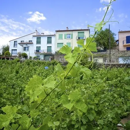 Le Clos Saint Elme Collioure